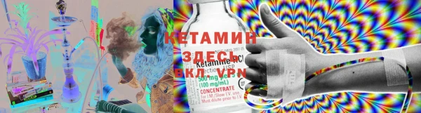 крисы Алзамай