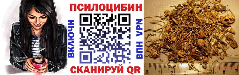 блэк спрут как войти  Стародуб  Псилоцибиновые грибы GOLDEN TEACHER 