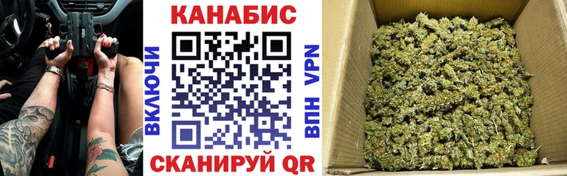 shop Telegram Стародуб Каннабис сатива
